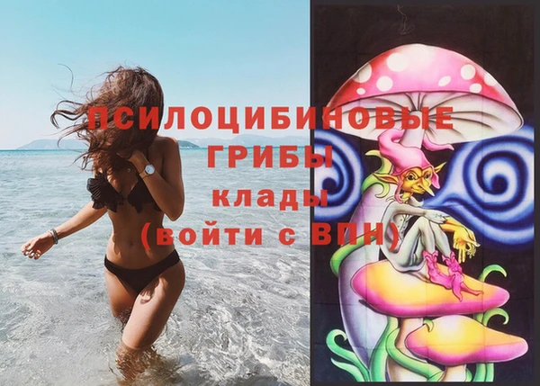 трава Медвежьегорск